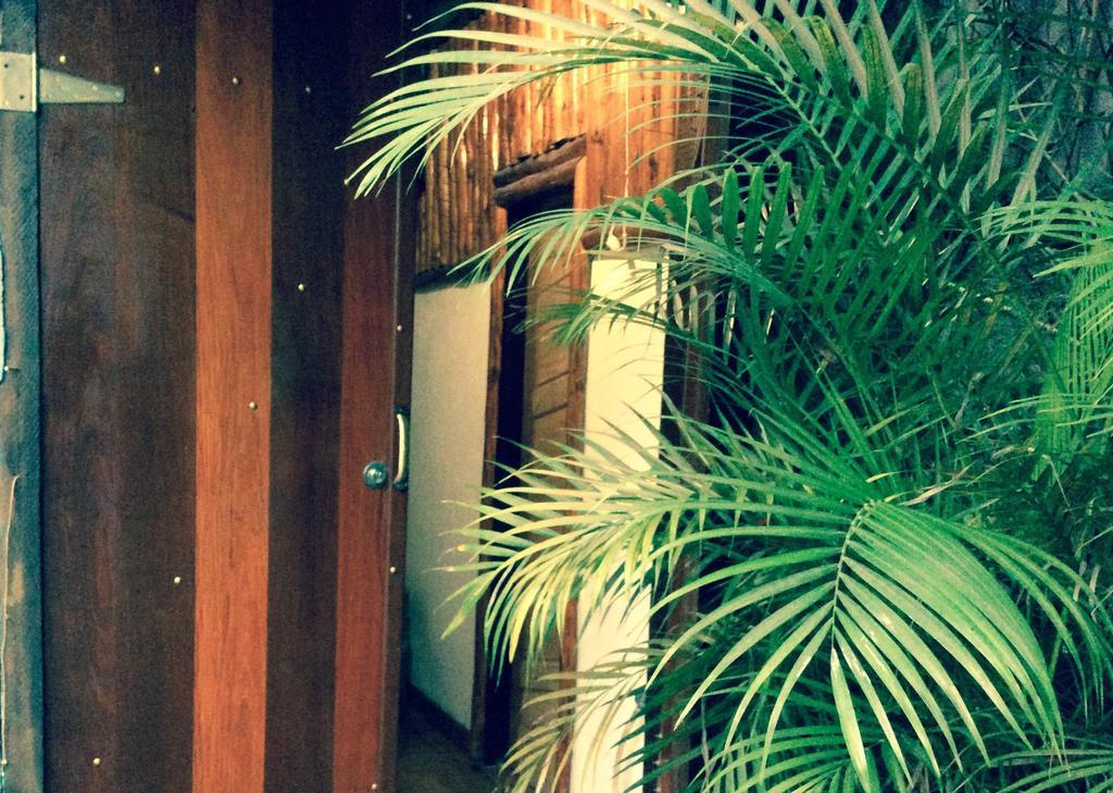 Canto do Buganville Abraão Exterior foto